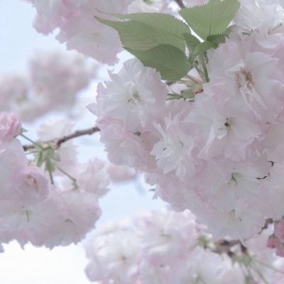 Furry角色互动设计Furry群